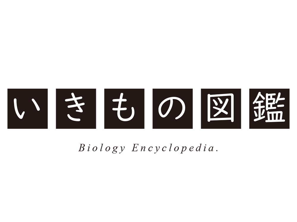 いきもの図鑑