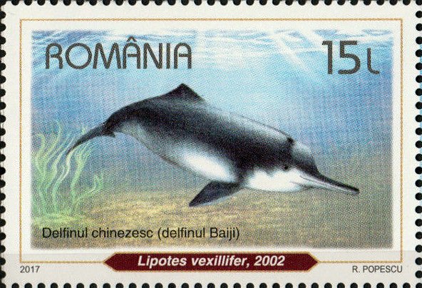 ヨウスコウカワイルカを描いたルーマニア発行の記念切手（2002年、15レイ）