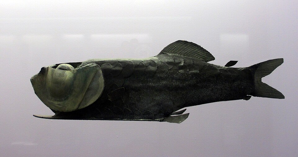 デメニギス科の魚を再現した博物館の模型
