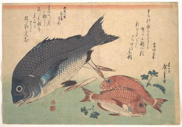 歌川広重「江都魚づくし」クロダイ(黒)とマダイ(赤)