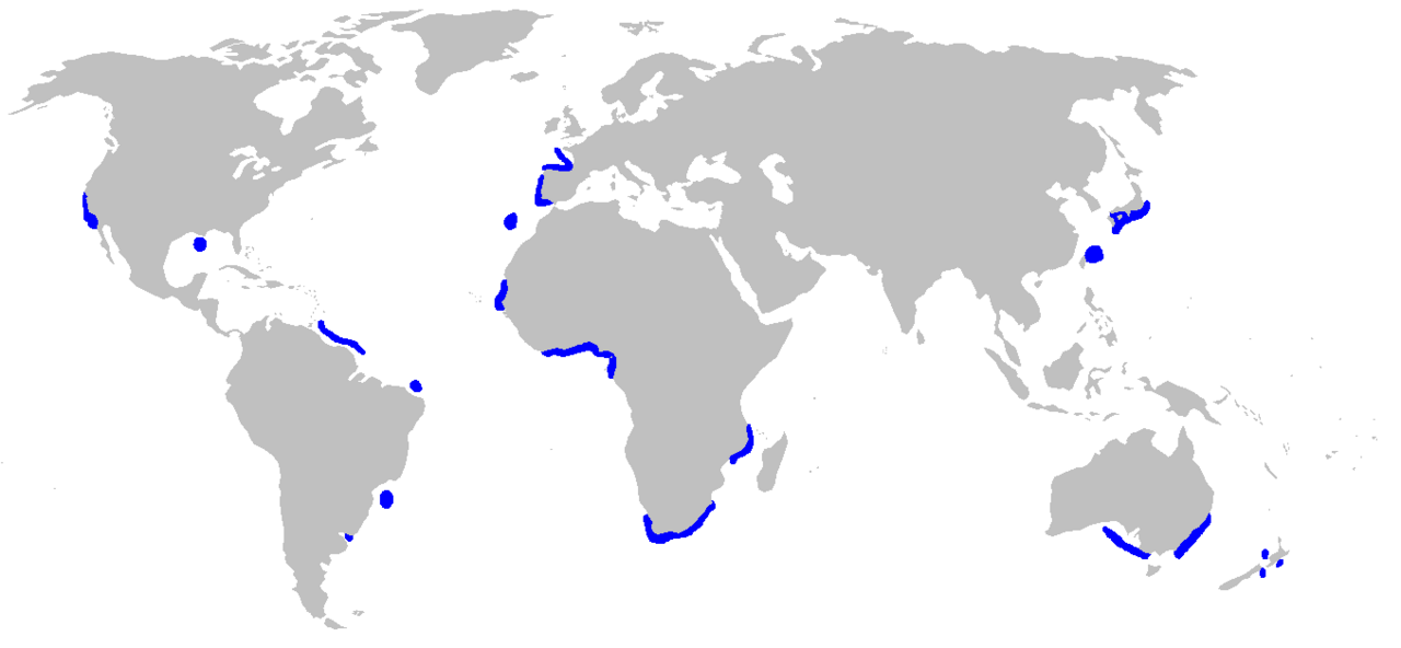 ミツクリザメの分布図