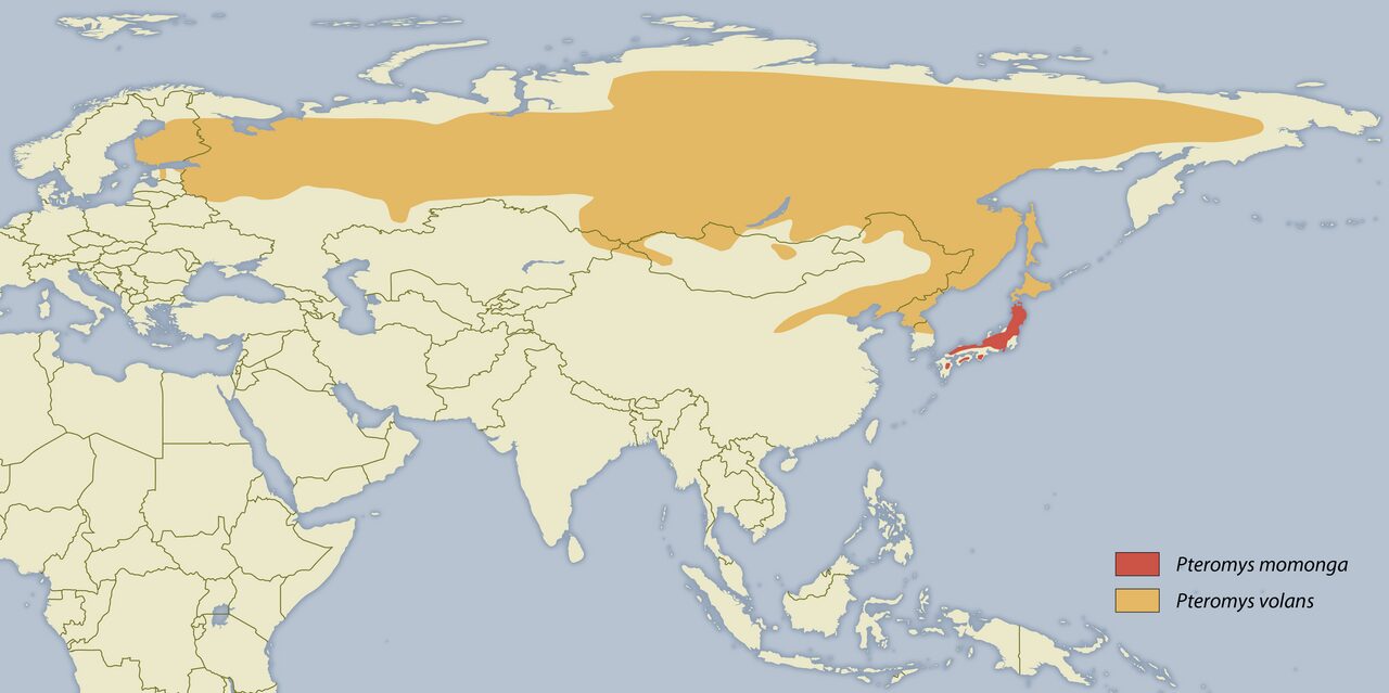 ニホンモモンガとタイリクモモンガの分布図