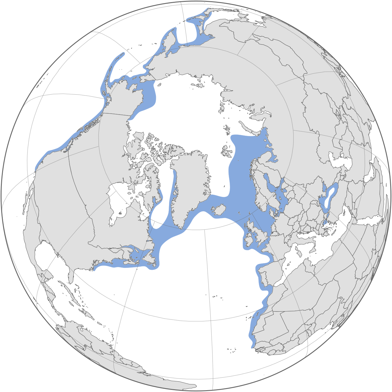 ネズミイルカの世界分布図（北大西洋・北太平洋・黒海の4個体群）
