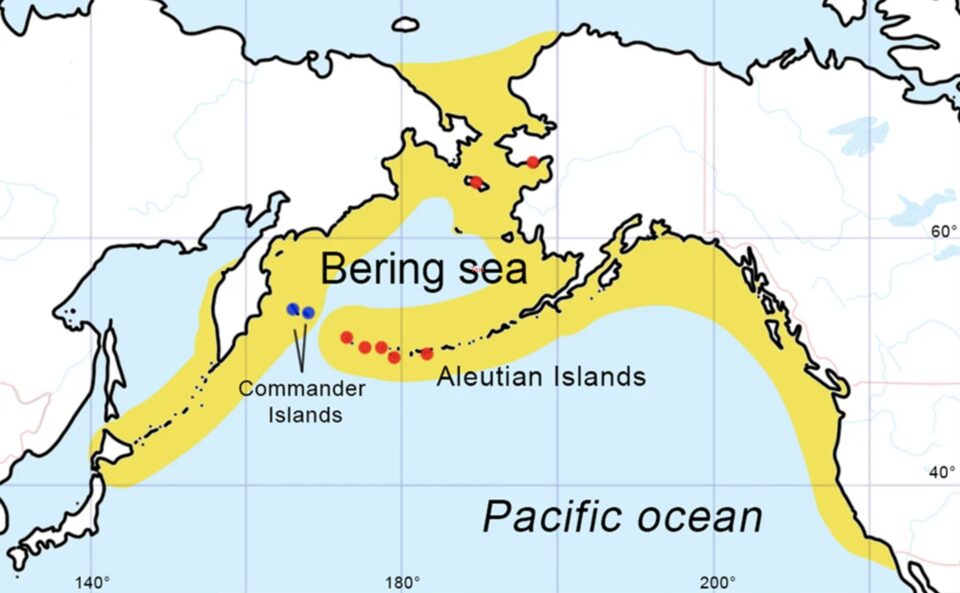 ステラーカイギュウのかつての分布図