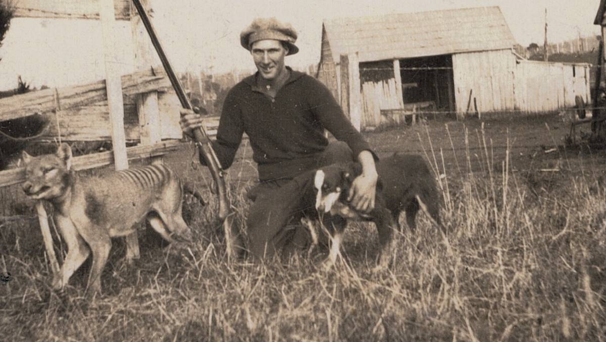 1930年、Wilf Battyが射殺した最後の野生フクロオオカミ