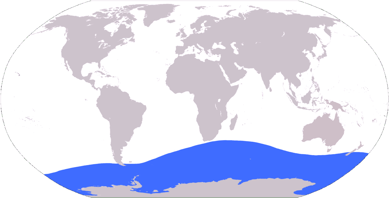 ダイオウホウズキイカの分布図(南半球全体)