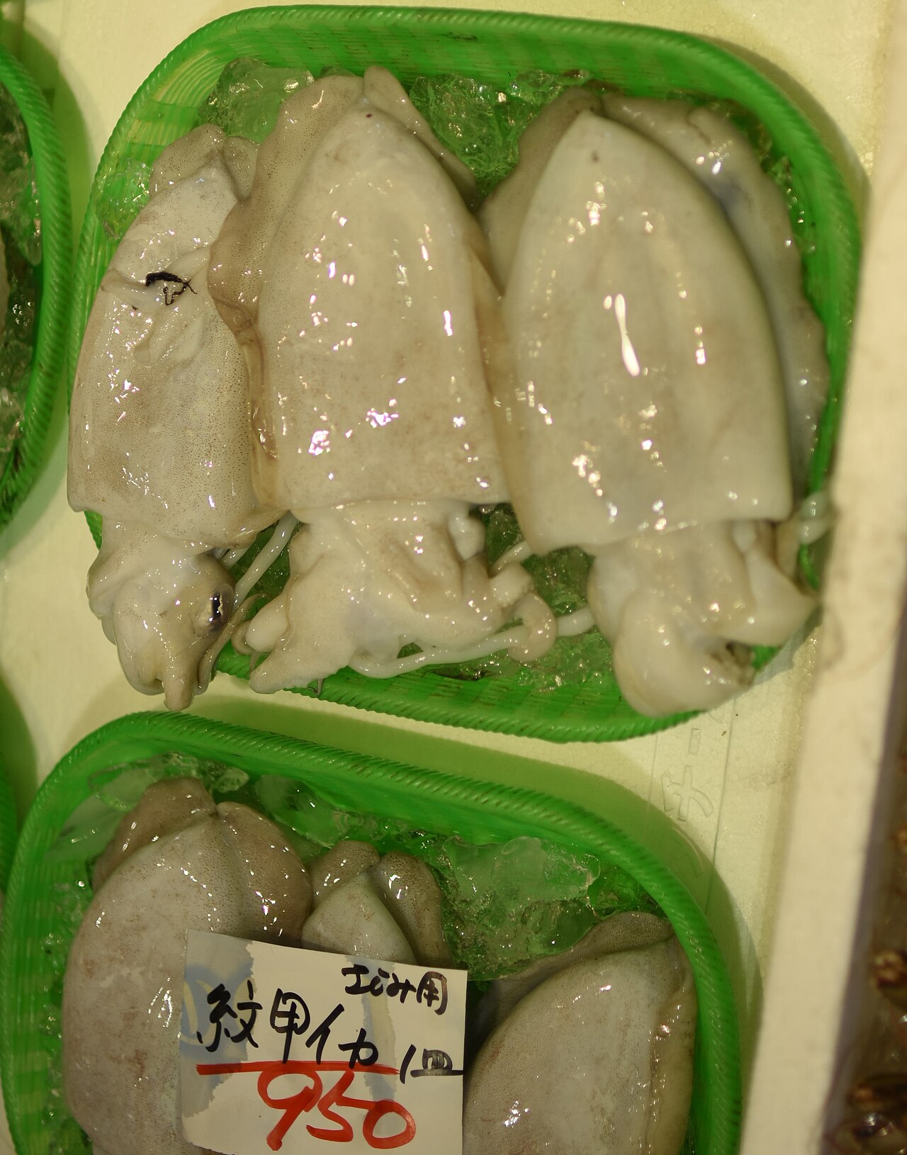 愛媛県八幡浜市の市場で「モンゴウイカ」の名で売られるコウイカ