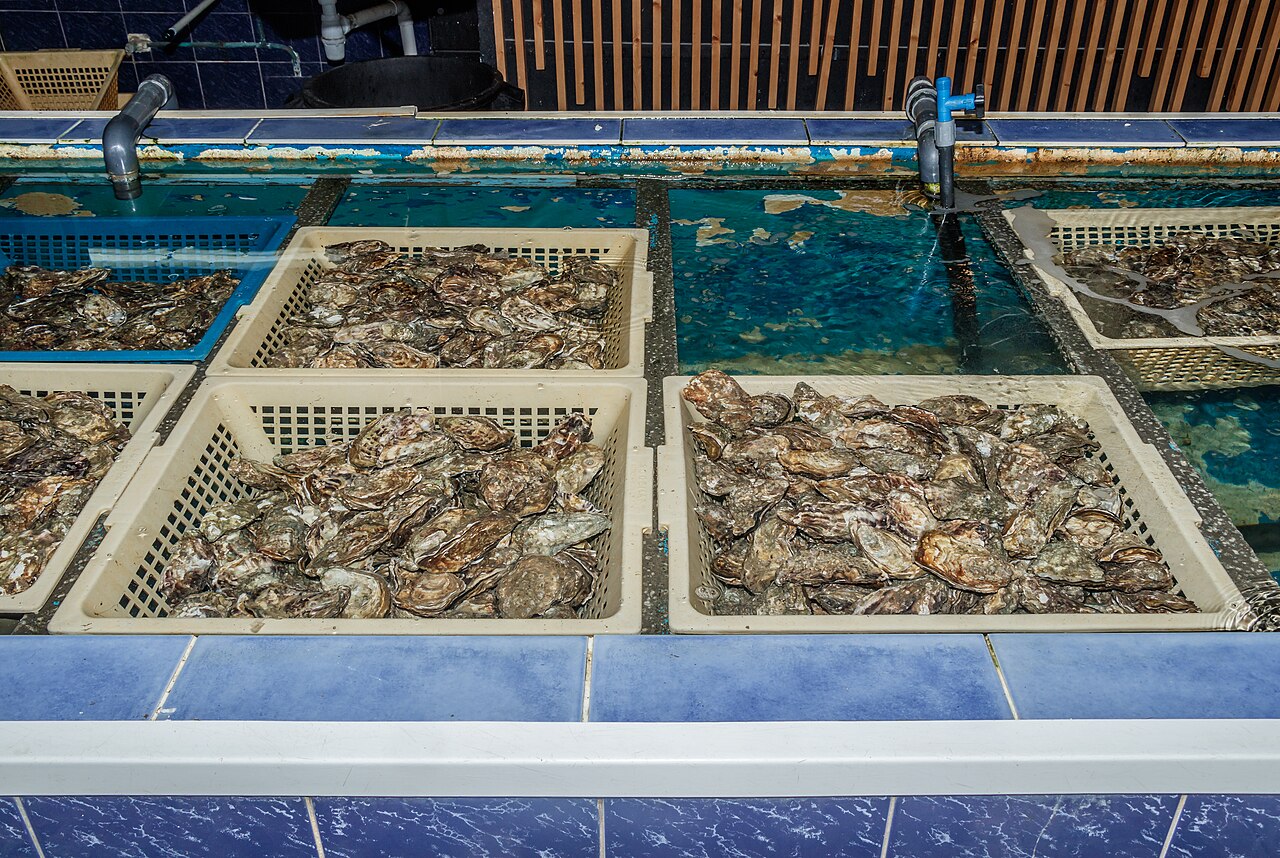 カキの養殖施設