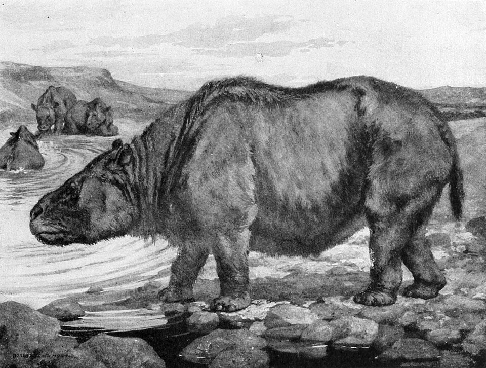 Robert Bruce Horsfall による1913年のトクソドン復元画
