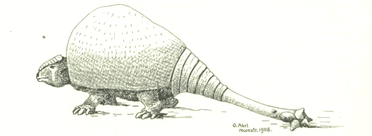ドエディクルスの復元画(Othenio Abel 1908年)