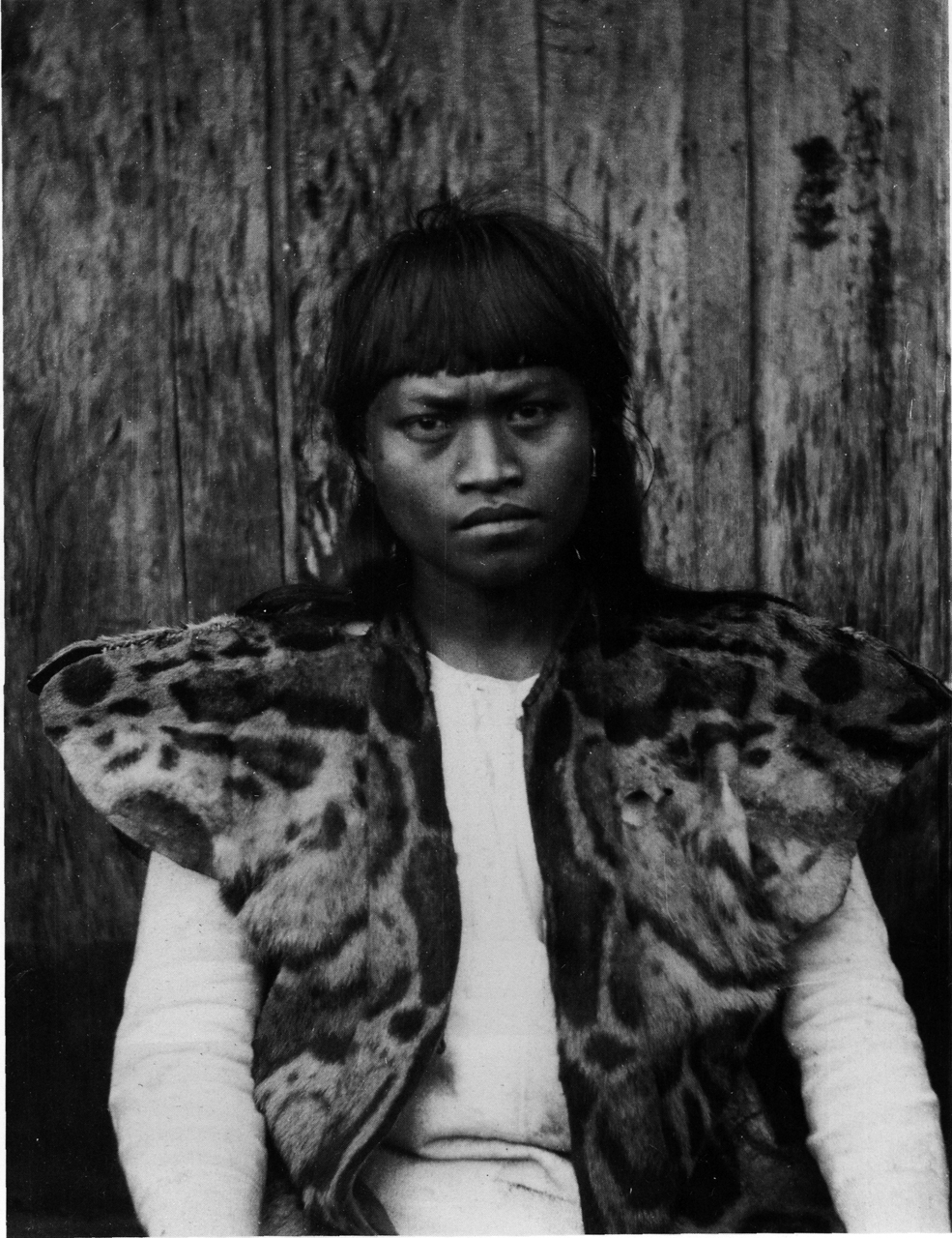 タイワンウンピョウの毛皮を纏った台湾原住民男性（鳥居龍蔵 撮影・1900年前後）