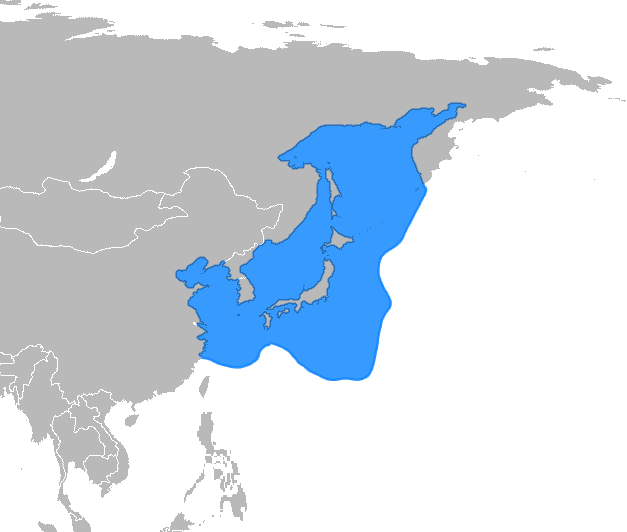 スルメイカの分布図（北太平洋）