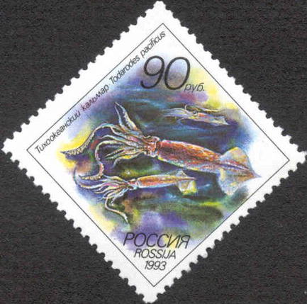 1993年ロシアの切手に描かれたスルメイカ