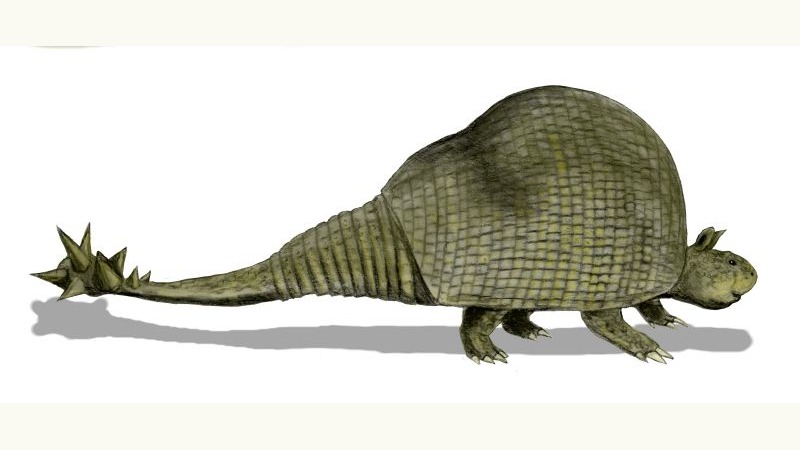 ドエディクルス Doedicurus clavicaudatus（Nobu Tamura による復元画）