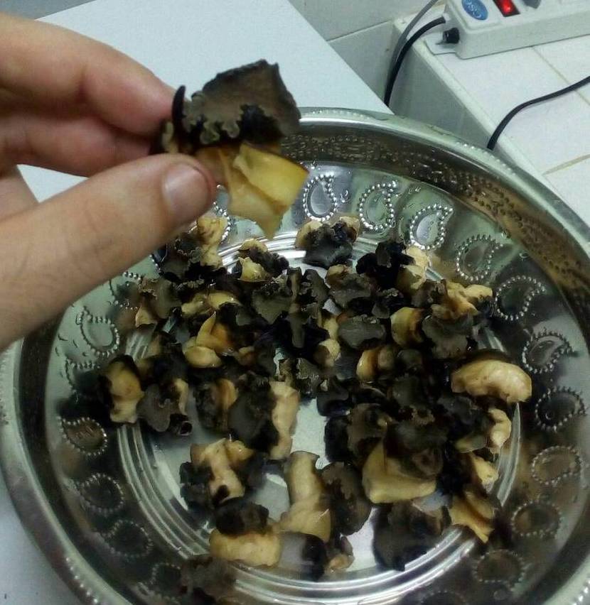 殻から出して調理したスクミリンゴガイ