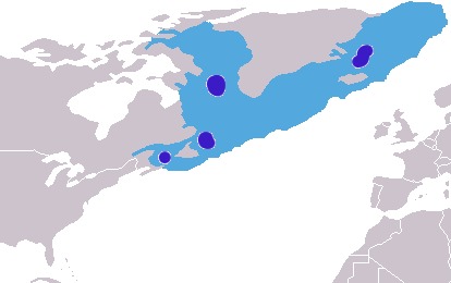 北大西洋と北極海に広がる分布と繁殖地を示した地図